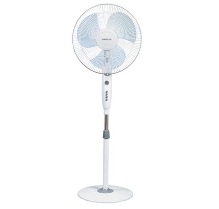 Trendy Metallic fan