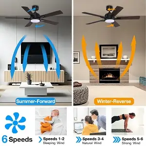 modern ceiling fans