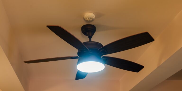 Modern Ceiling Fan with Light